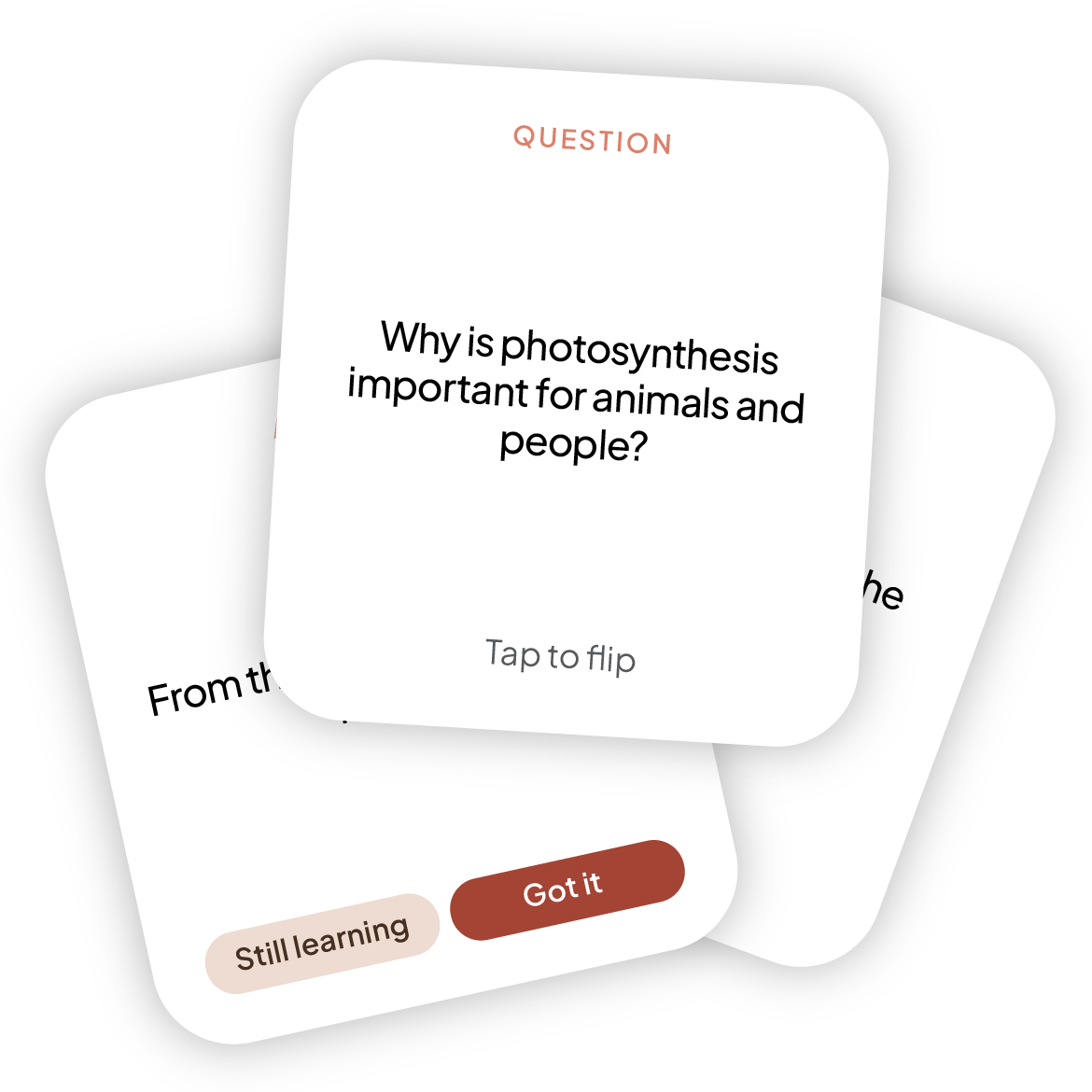 Flashcard set generated from a textbook photo